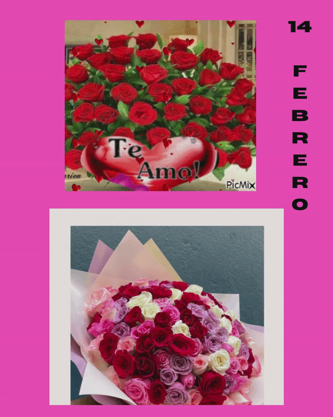 🌹“Rosas Naturales Preservadas – Amor que Dura Años”🌹